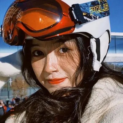 木材宝藏狗