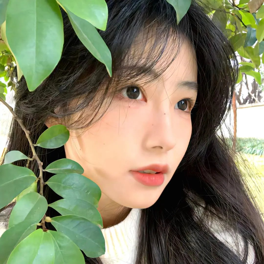 查科
